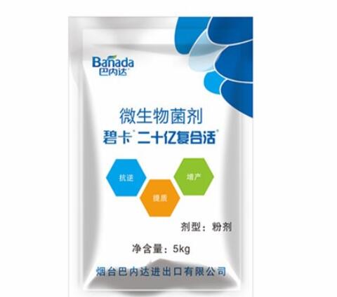 生根劑時的使用注意事項有哪些