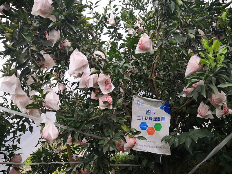 微生物菌劑如何混用？