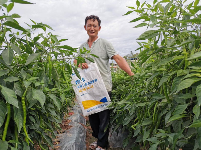 水溶肥價格高低對作物產量有哪些影響？