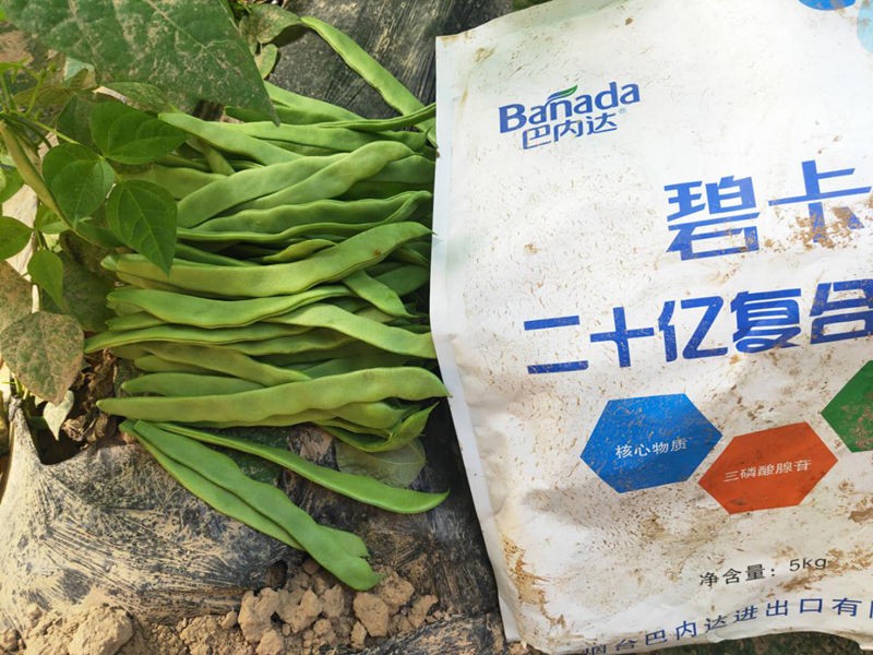 有機肥廠家怎么選擇