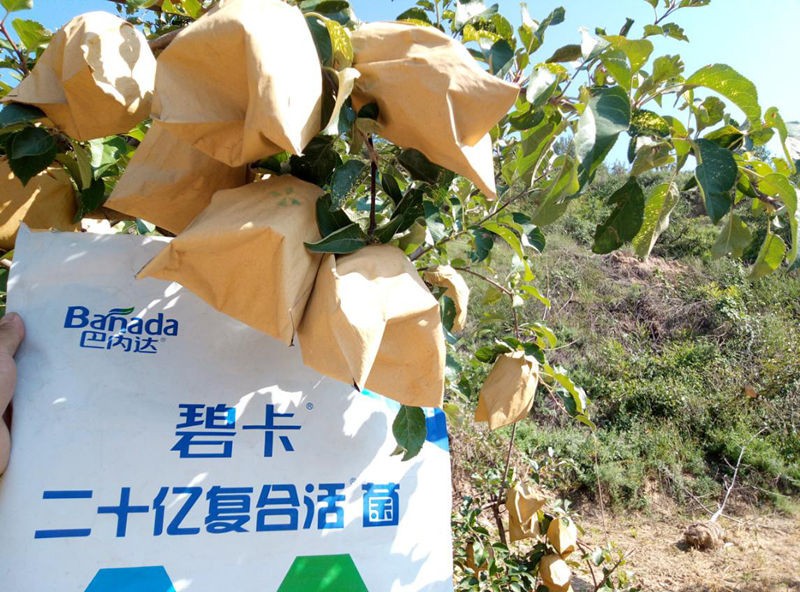 微生物菌劑好不好？使用方法很重要