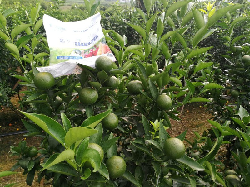 葉面肥哪種好？