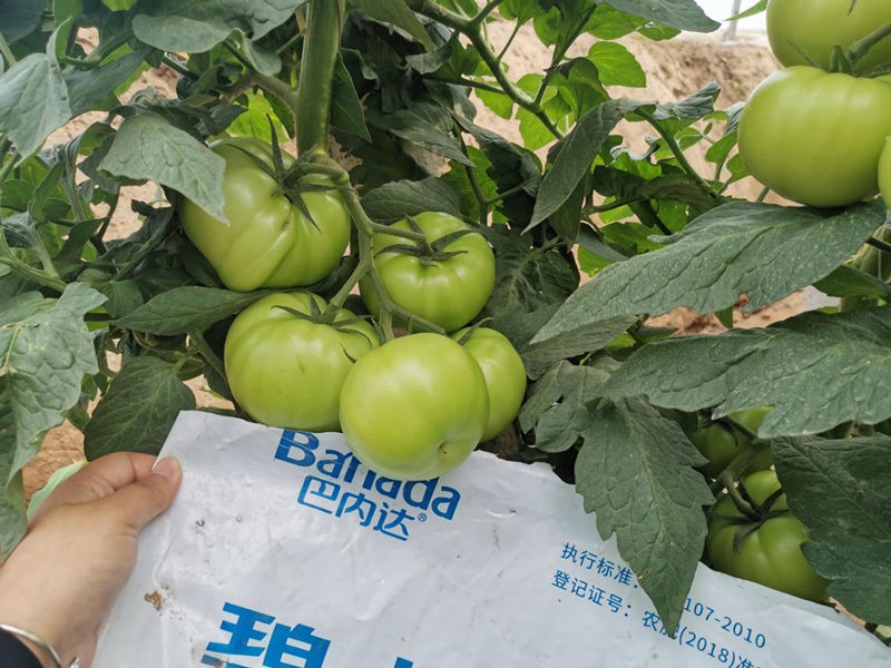 水溶肥的發展必要性