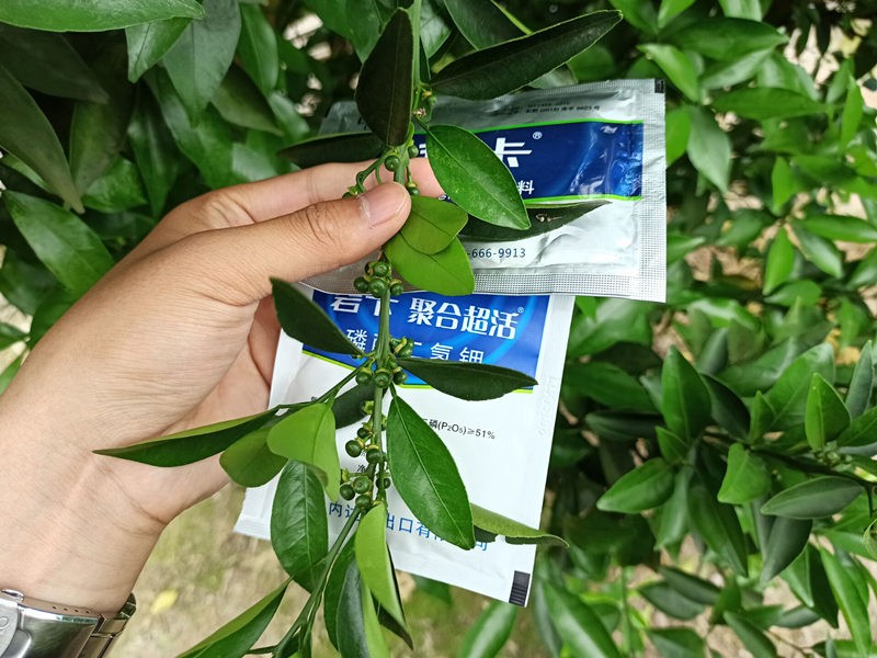 氨基酸葉面肥的功效，又該如何選擇呢