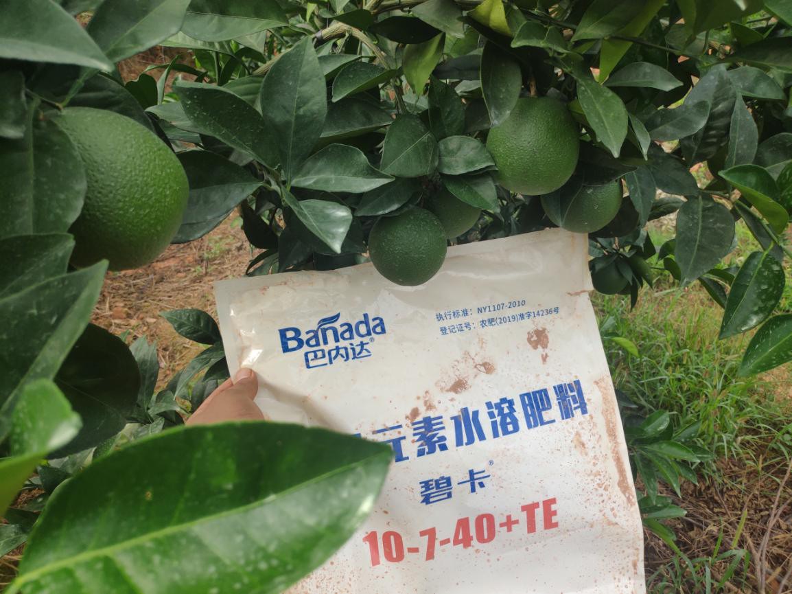 水溶肥的優勢有哪些？