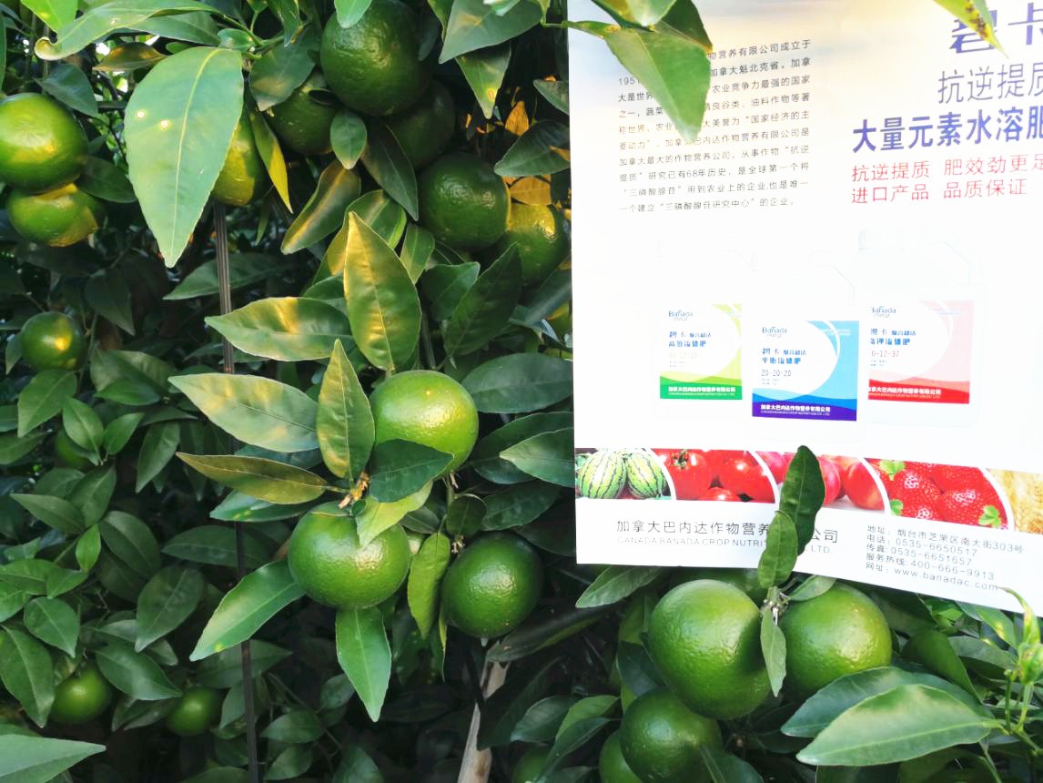 高氮水溶肥的作用是什么？