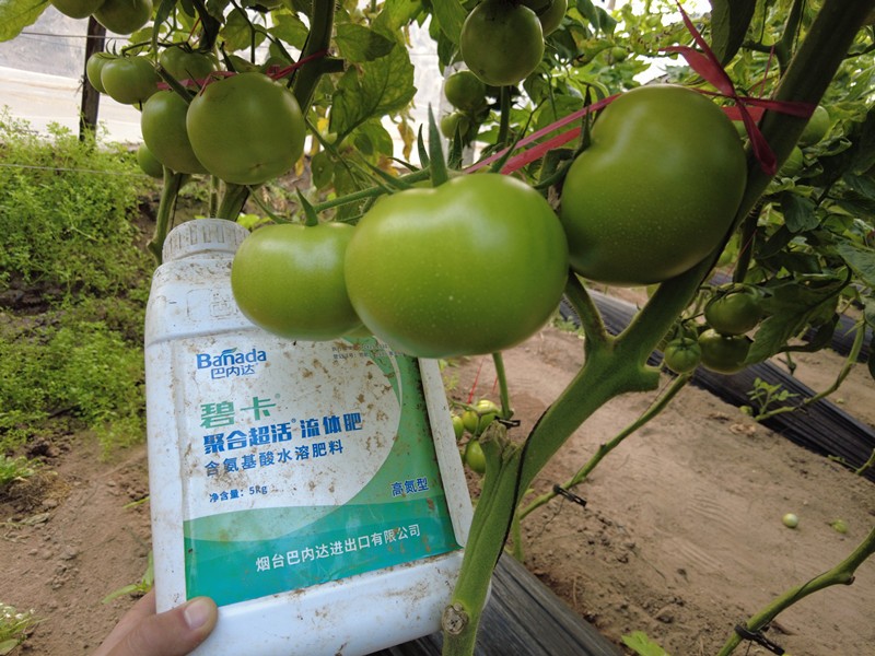 氨基酸水溶肥哪家好？