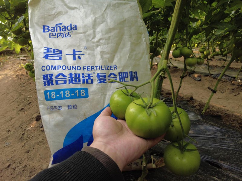 顆粒水溶肥有什么特點？該如何使用？