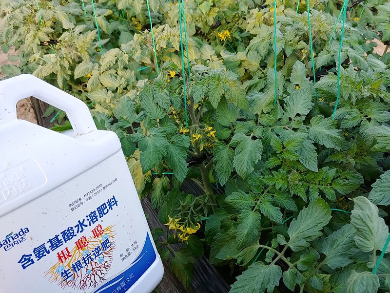 生根劑廠家哪個好？